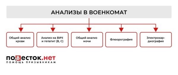 Анализ работы службы классификации солдат.