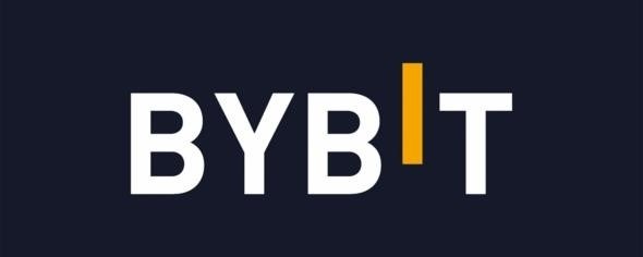 Как торговать криптовалютой bibit в 2024 году: драйверы для новичков.