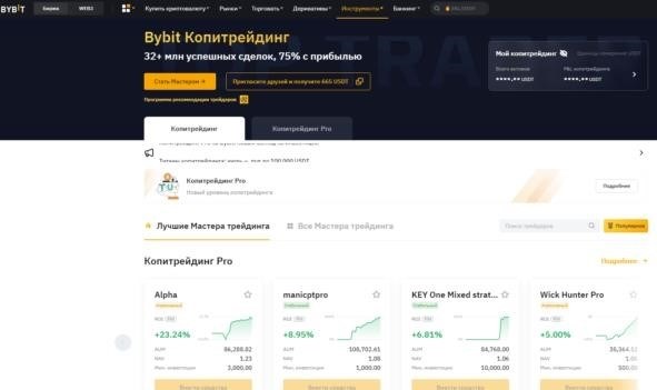 Как торговать криптовалютой bibit в 2024 году: драйверы для новичков.